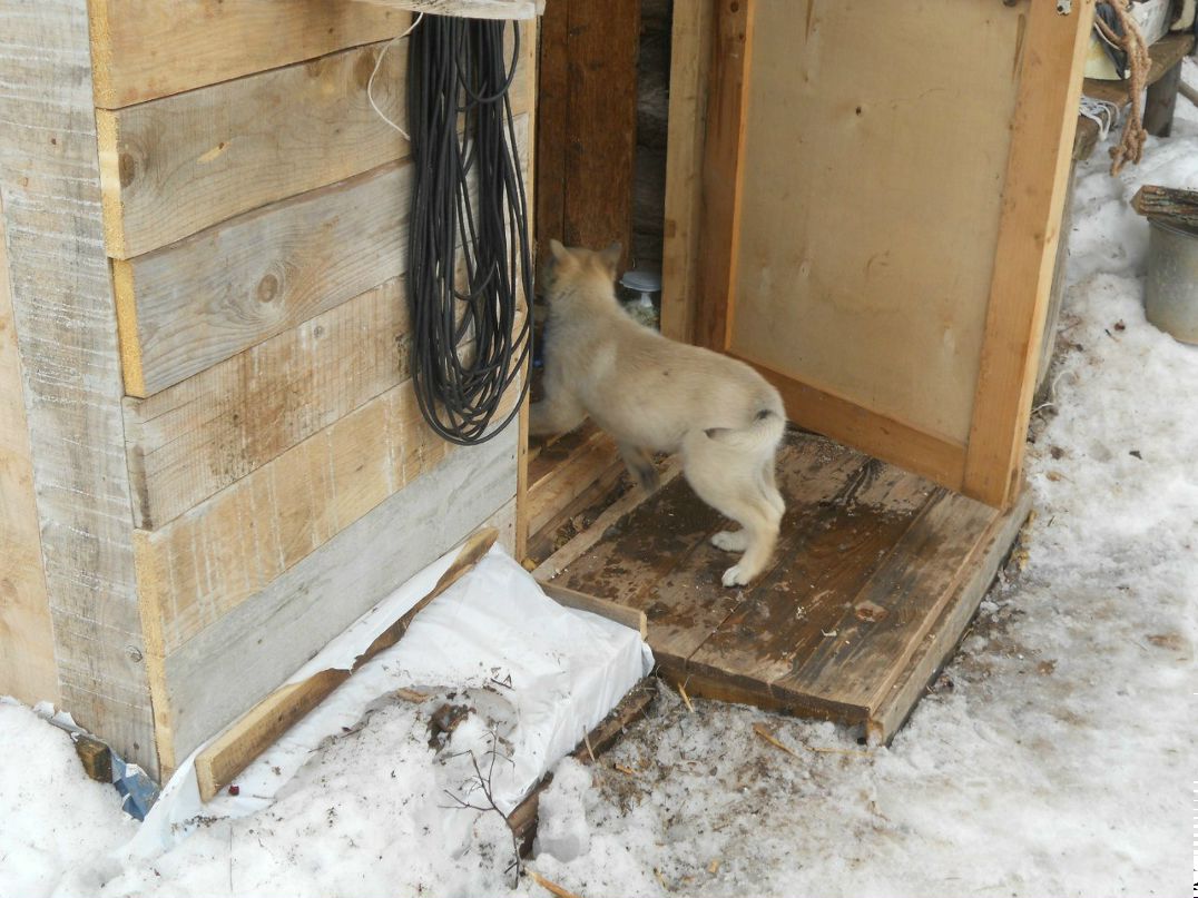 Константин Подопригора Kosto | Пермь