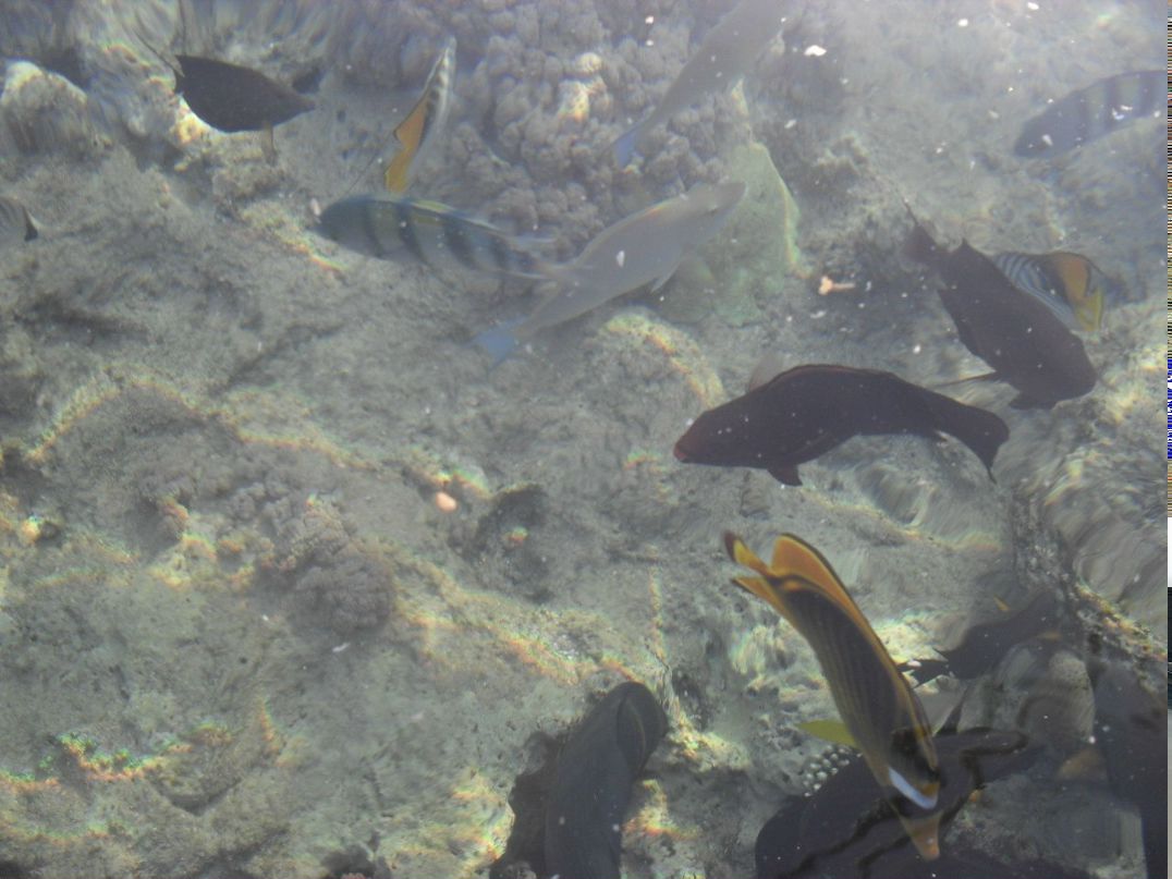 Маргарита Хайбуллина | Казань