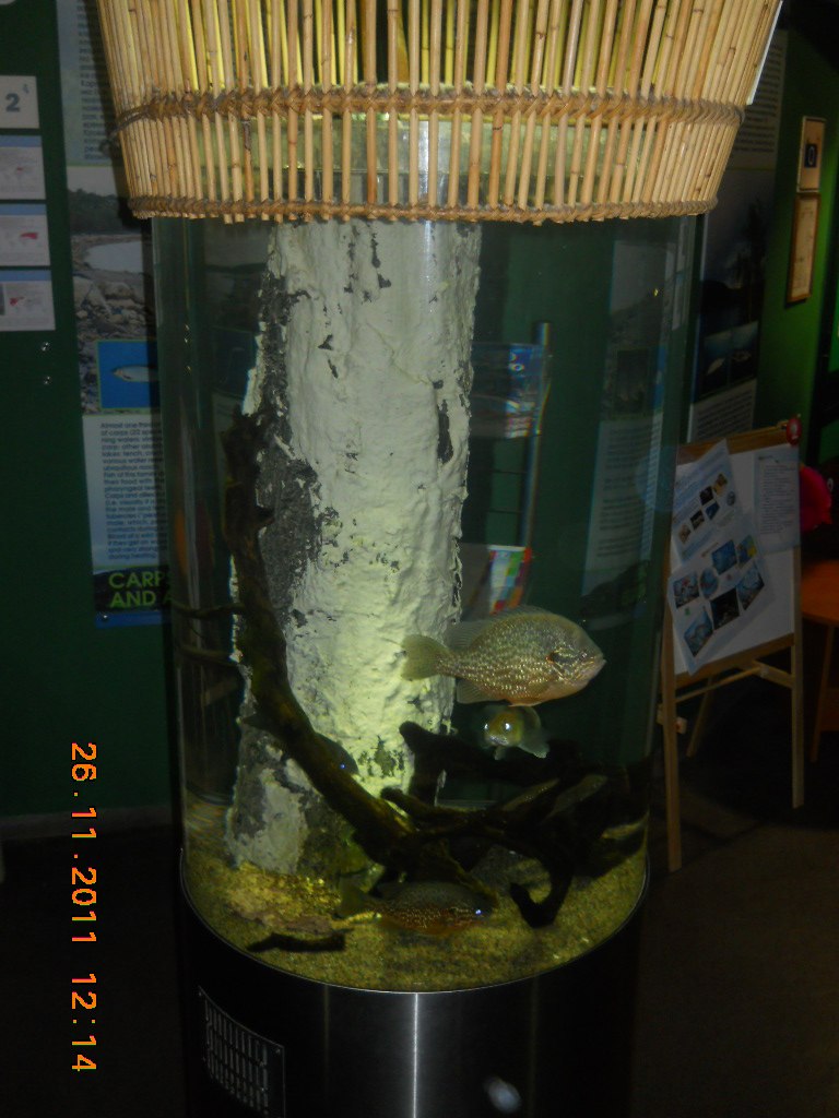 Павел Игнатьев | Костомукша