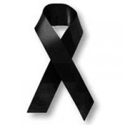 №38, Ольга Давидова, Львов №38, Ольга Давидова, Львов