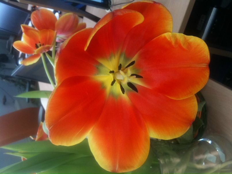 Маргарита Рикионова | 