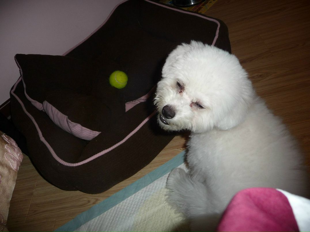 Наталья Волкова | Люберцы