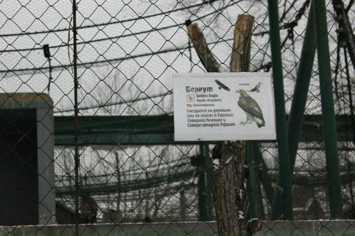 Екатерина Голубенко | Санкт-Петербург