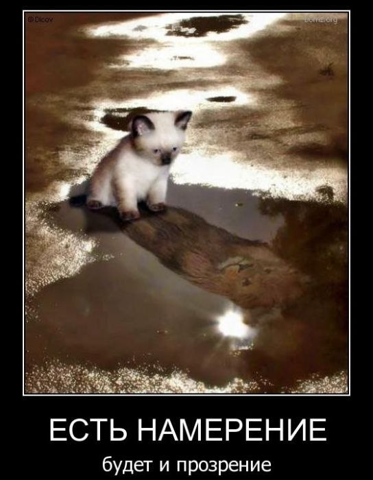 Евгений Добрынкин | Екатеринбург