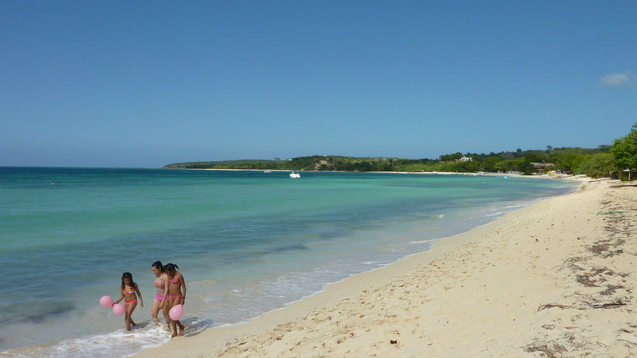 Максим Голушко | Köln