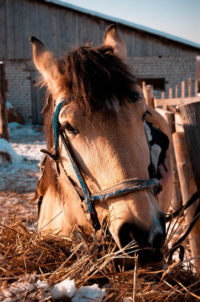 Алексей Волегов ♥ | Пермь