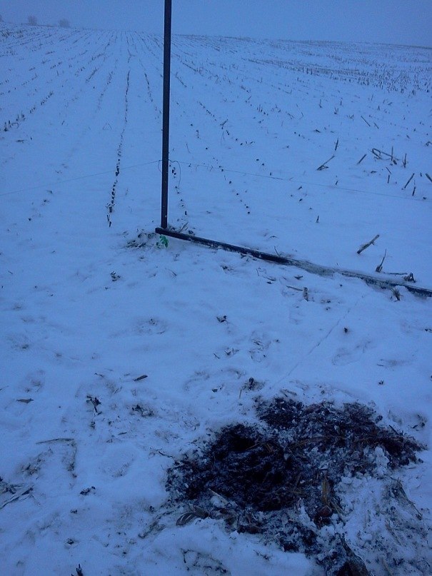 Евгений Солонин | 