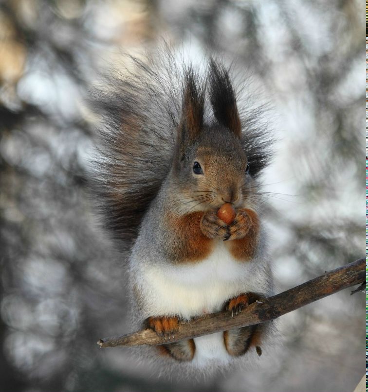 Ася Шторм | Санкт-Петербург