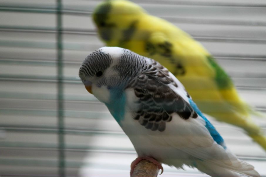 №30, Lev Soroka, 36 лет, Ивано-Франковск-16 №30, Lev Soroka, 36 лет, Ивано-Франковск-16