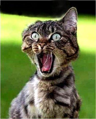 №10, Александр Речкалов №10, Александр Речкалов