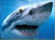 №1 Андрей Игнатьев 22.09: профиль, фото, статус - ВКонтакте №1 Андрей Игнатьев 22.09: профиль, фото, статус - ВКонтакте