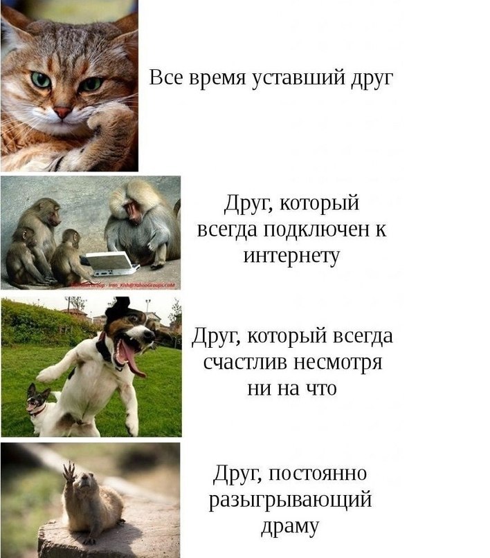 Яночка Никишова | Жуковский
