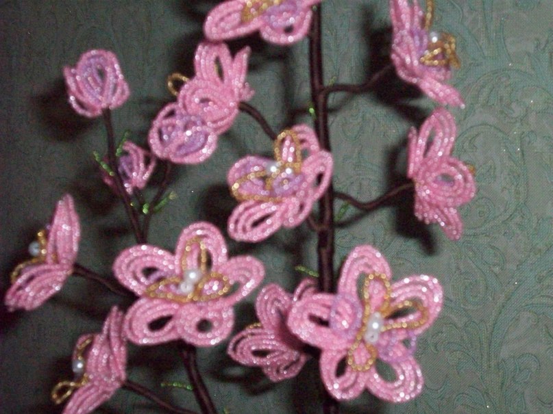 Юлия Ларионова | Каменногорск