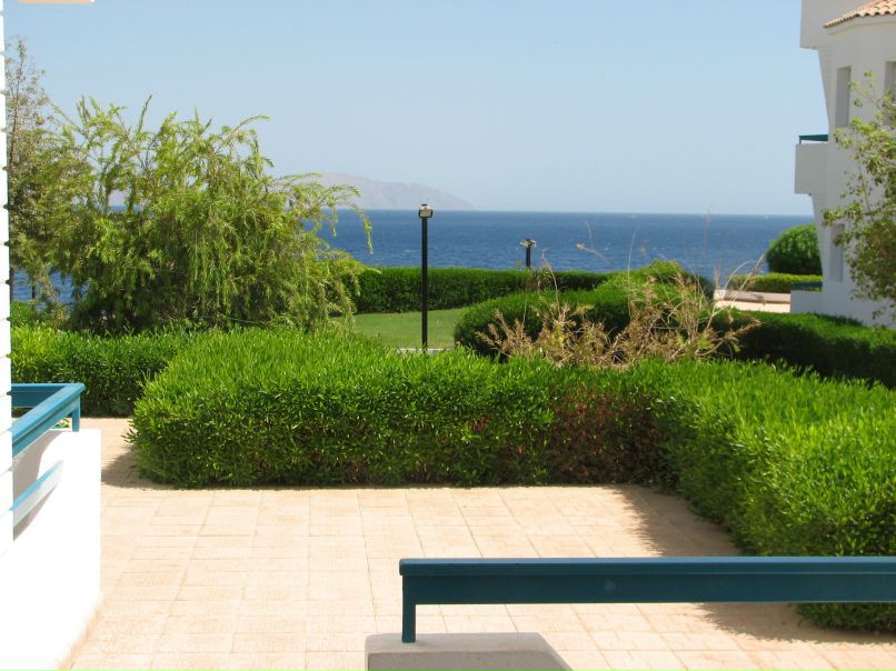 Ирина Самосват | Киев