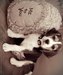 Никита Степин фотография #12