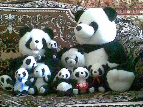 №30, Таня Мошура, Ивано-Франковск №30, Таня Мошура, Ивано-Франковск