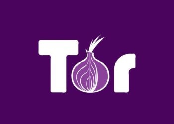 Принцип работы VPN и Tor, изображение №1
