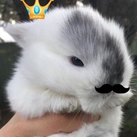 Вера Уварова | 