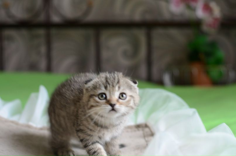 Наташа Тесля | Мариуполь