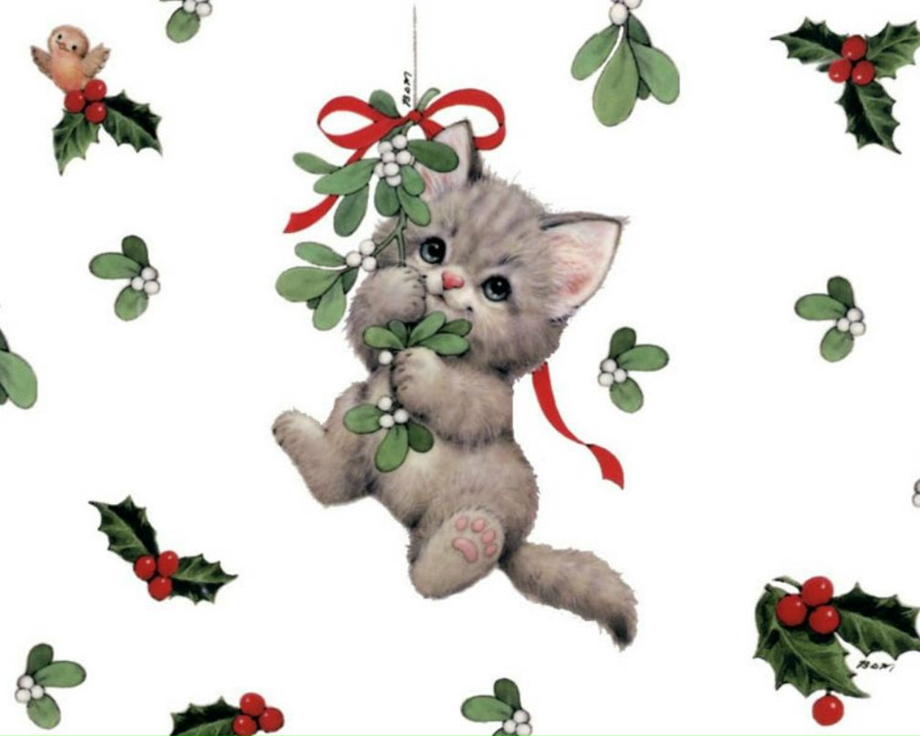 Оля Сидорчук | Ровно