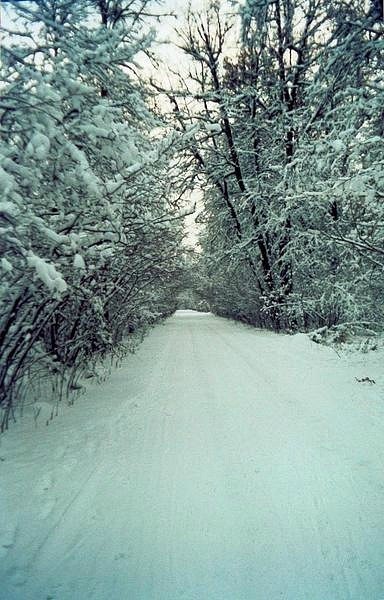 Алёна Волкова | Москва