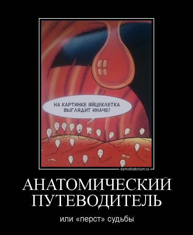 Айгуль Нестеренко | Москва