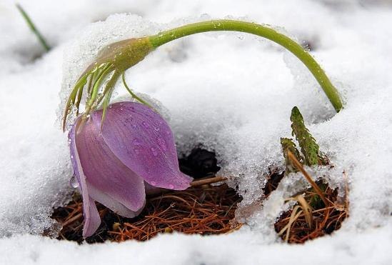 №32, Віталій Громницький, 33 года, Ясенев-Пыльный №32, Віталій Громницький, 33 года, Ясенев-Пыльный