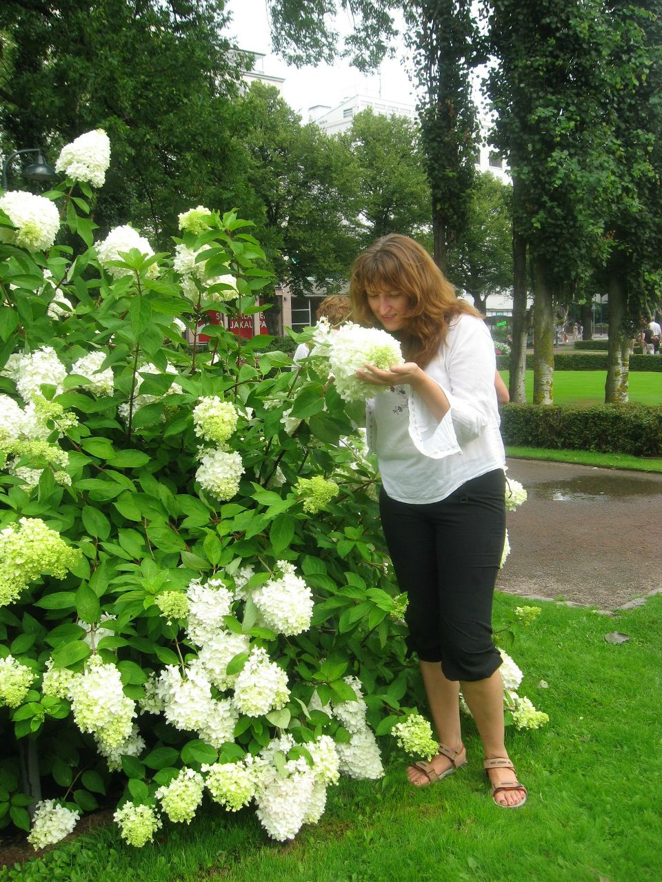 Диана Костоварова | Санкт-Петербург