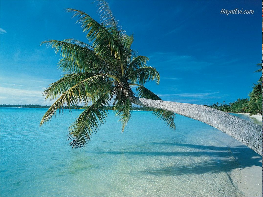 Павел Корсиков | Волгоград