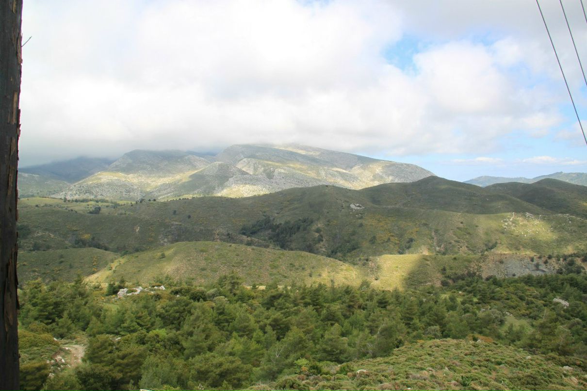 Ronald Shipitsyn | Беэр Шева