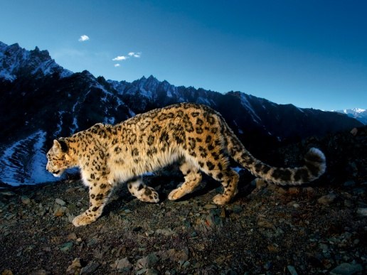 Павел Ткачук | Донецк