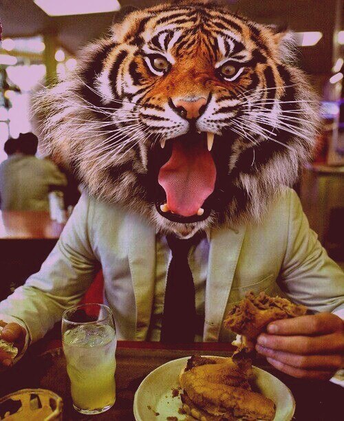 Александр Гундобин paproach | Москва