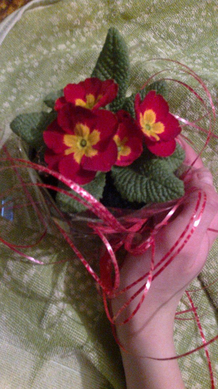 Катя Степнова ((((Степушка)))) | Bielsko-Biała