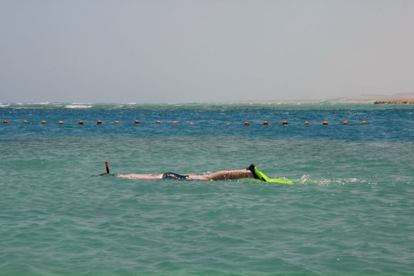 Антон Оголь | Москва