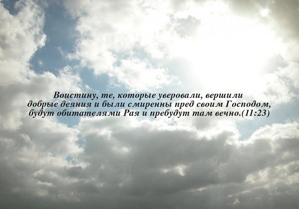 Ислам Рамазанов | 