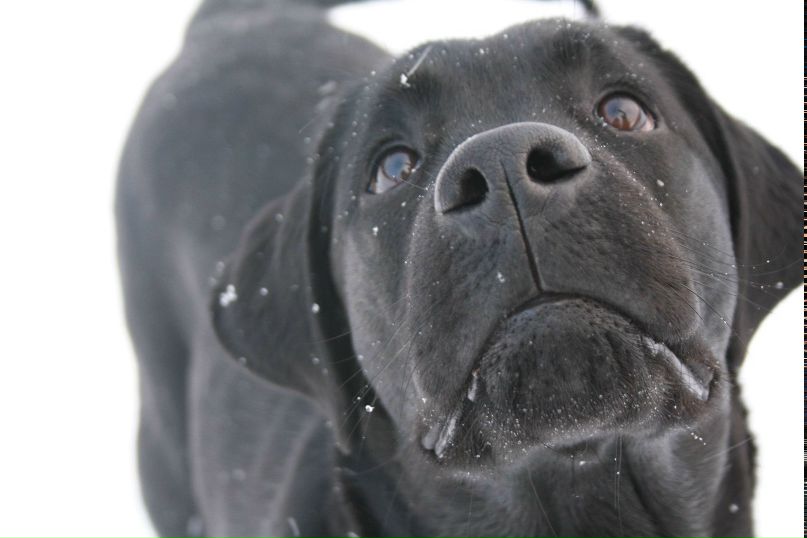 Виктория Полетаева | Красноуфимск