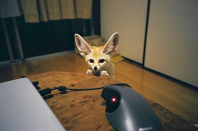 Виталина Глинская bonita | Москва