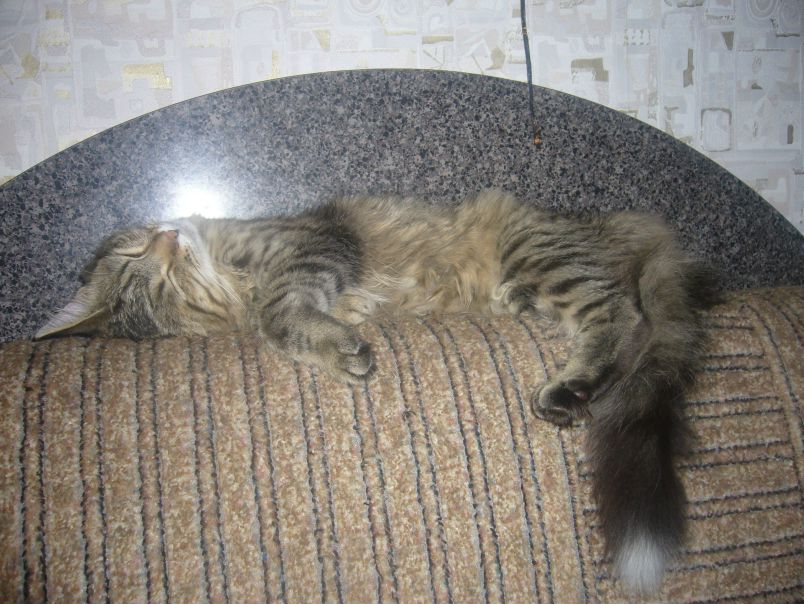 №26, Юлия Чёрная, Липецк №26, Юлия Чёрная, Липецк