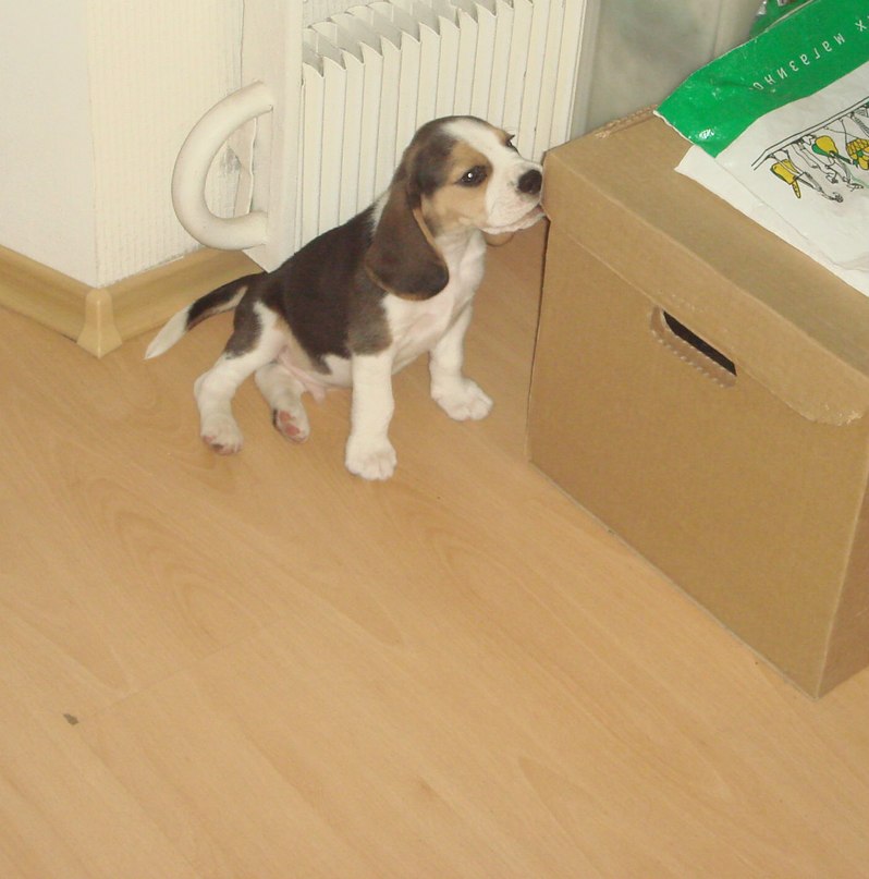 Михаил Кошкин | Москва