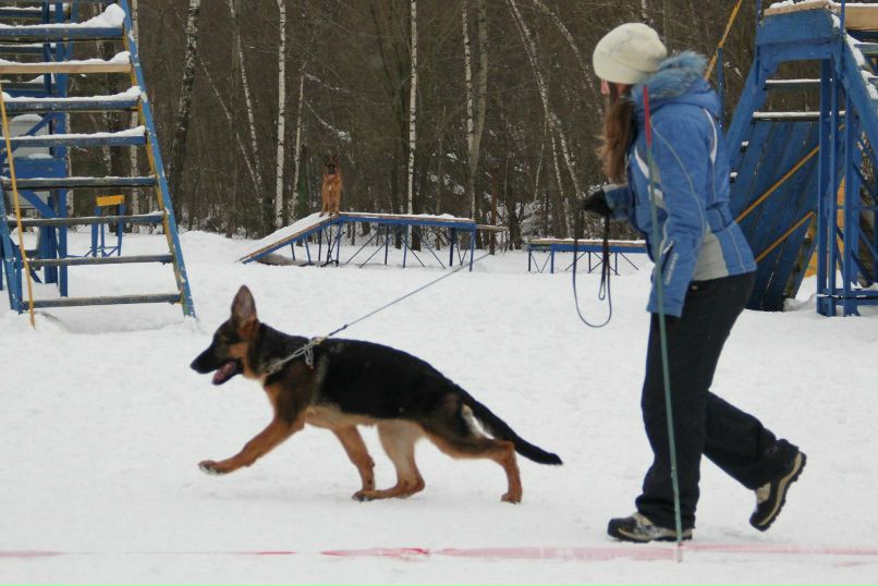 Вика Петлина | Москва