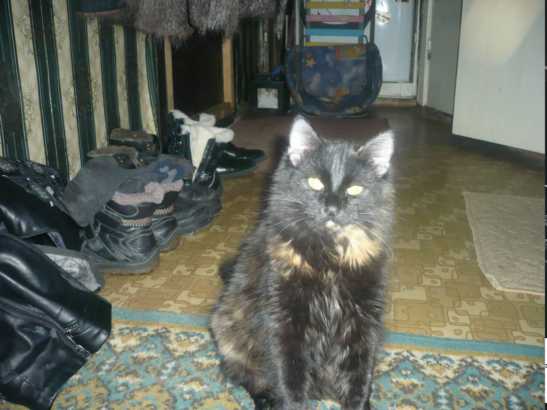 Елена Крылова | Череповец