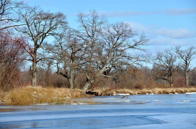 Николай Геращенко | Новозыбков