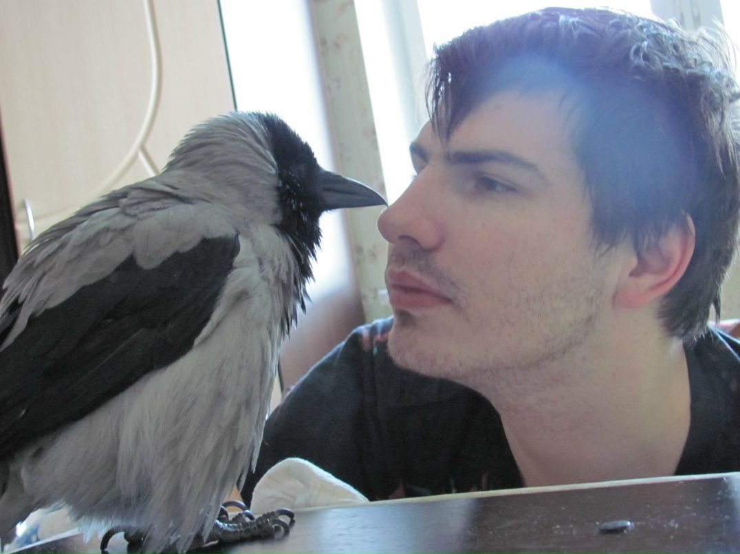 Григорий Дёмин | Москва