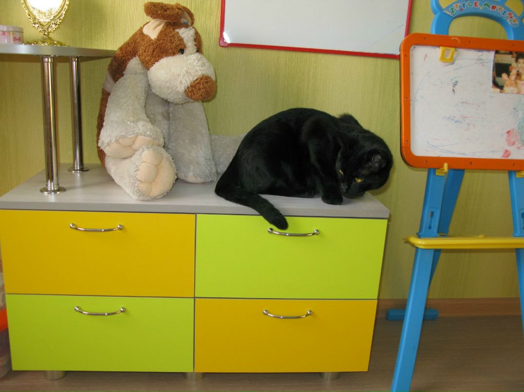 Оксана Корельская Васильевна | Северодвинск