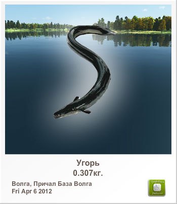 Александр Макеев | Домодедово