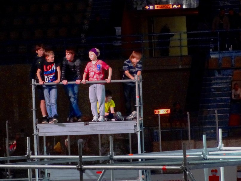 Никита Некрасов | 