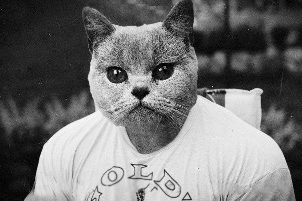 Михан Бортников | Самара