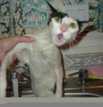 Ксения Тарасова | Санкт-Петербург