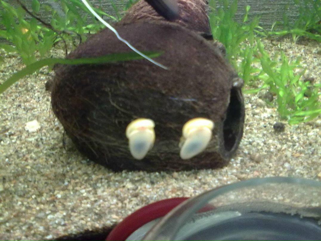 Denis Demidenko | Ангарск