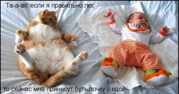 Оксана Креминская krox | Киев